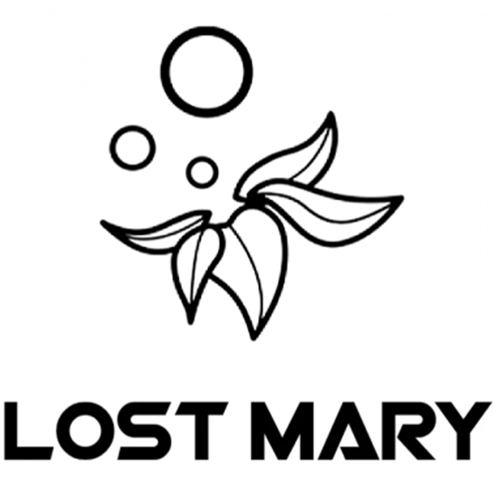 Lost Mary